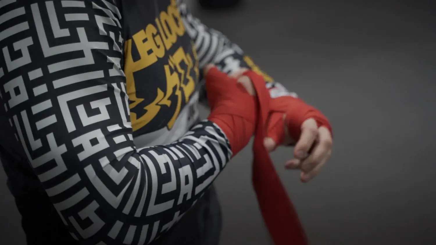 Drilich Combat Academy photo 4