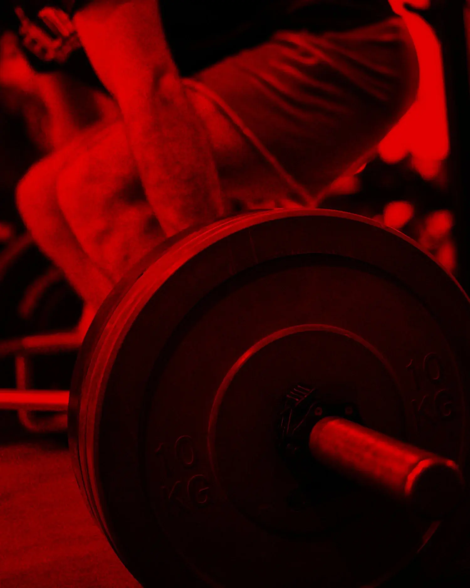 Evolution MMA & Fitness photo 8