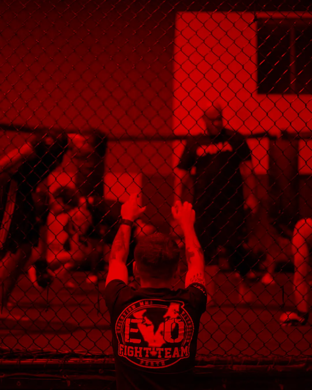 Evolution MMA & Fitness photo 7